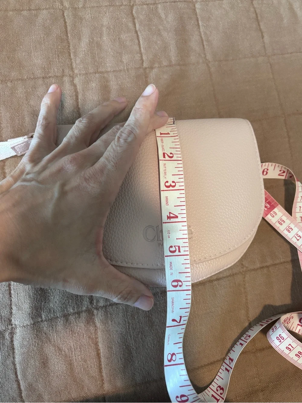 Chloé Light Blush Pebbled Leather Wristlet Clutch
